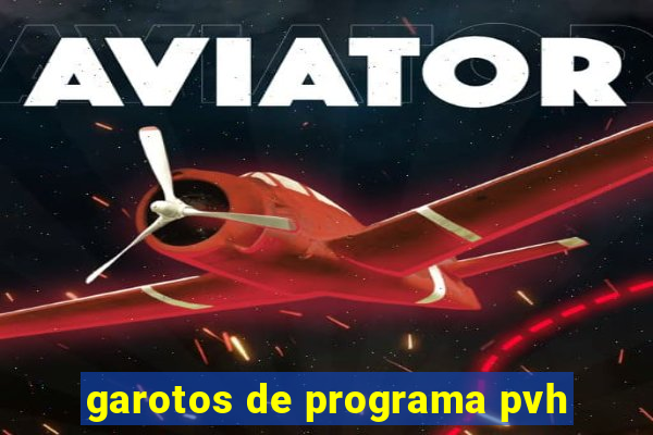 garotos de programa pvh